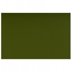 TISSU VALENCIA OLIVE